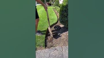 #satisfying #edge #rotary #scissors #oddlysatisfying #before #after #flower #bed #diy #lawncare