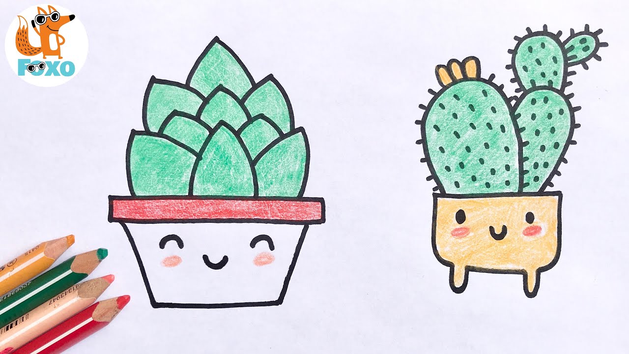 kaktusz a látáshoz