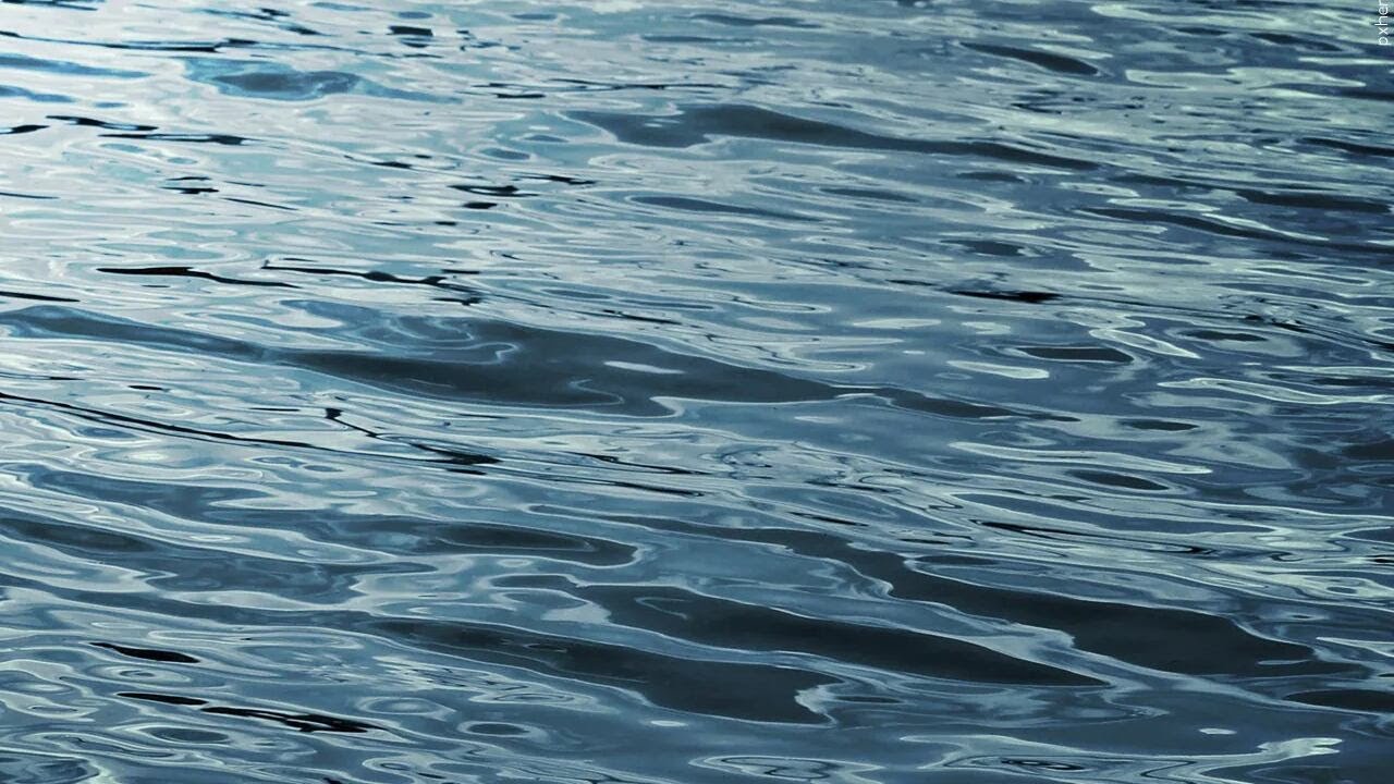 Paddleboarder, dog recovered after 11-hour search in Colorado Reservoir