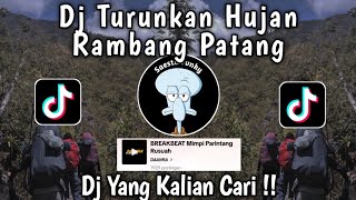 DJ TURUNKAN HUJAN RAMBANG PATANG BREAKBEAT || DJ MIMPI PARINTANG RUSUAH VIRAL TIKTOK !!