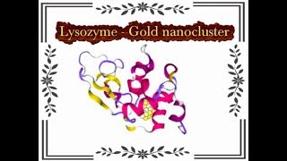 Lysozyme- Gold nanocluster synthesis