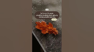 روائع التلاوات " قراءة هادئة ومميزة " سلمان السويل