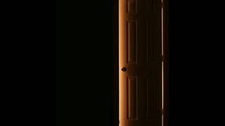 Quagmire Nyquil Commercial