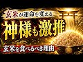 【免疫力向上が未来の鍵】日本人が玄米を未来の為に食べるべき理由