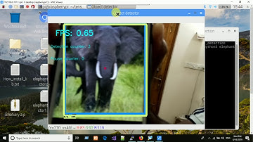 Automated Elephant detection using tensorflow | Alarm system and Mobile message