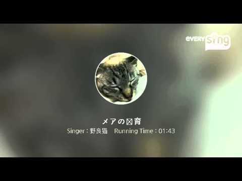 [everysing] メアの教育