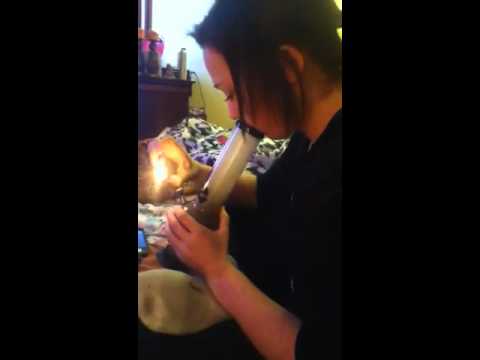 Popper time