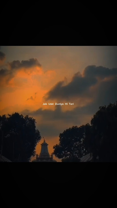 Rahe Bas Tera Hi Hoker Jo Hai Tera (Female version)❤️|| Ve Kamleya 💕|| Aesthetic Status 🕊️✨