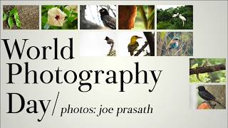 World Photography Day | My Photography | Joe Prasath