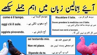 learn italian sentences in urdu| bay learn italian in urdu|