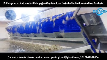 Automatic Shrimp Grading Machine for more details please contact us on +917762967864