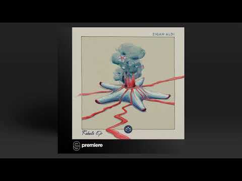 Premiere Zigan Aldi Magenta Lunar Plane Remix Kamai Music