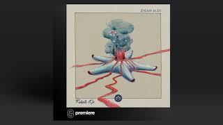 Premiere Zigan Aldi - Magenta Lunar Plane Remix - Kamai Music