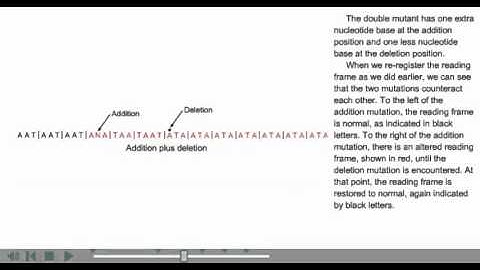 Addition and deletion mutation animation