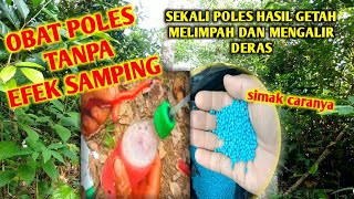 Download lagu OBAT POLES AMPUH TANPA EFEK SAMPING‼️SIMAK CARANYA agar hasil panen melimpah | manfaat pupuk mutiara