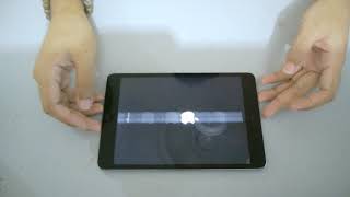 Ipad Mini 2 LCD and Battery Replacement (Problem: LCD horizontal lines + battery low juice)