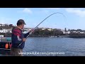 Fishing video, White seabream, Esmeralda wrasse, Ballan wrasse