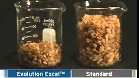 InSinkErator Evolution Excel Disposer Grind Demonstration