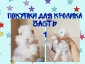 Покупки для кролика/Всё что нужно купить для декоративного кролика/