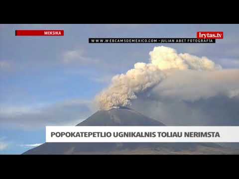 Video: Kaip Pabėgti Per žemės Drebėjimą