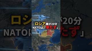 NATOの空にロシアのドローンが20分、だが戦闘機は撃たなかった——その理由【EconomyEgg】