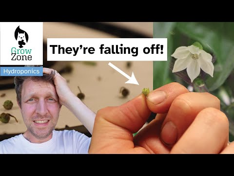 Terra Aquatica TriPart Terra Aquatica Grow Micro Bloom Komponenten