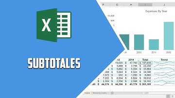 Excel 2016 – Subtotales - Video 66