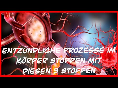 Video: So stoppen Sie die Trockenfutterzufuhr vollständig