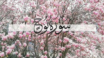 { سورة نوح } | ماجد العنزي .