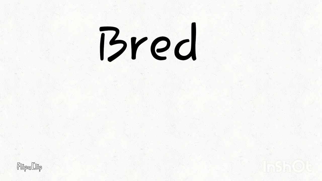 Интро Bred "Анимация .0.2."