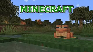 Chill Minecraft Live