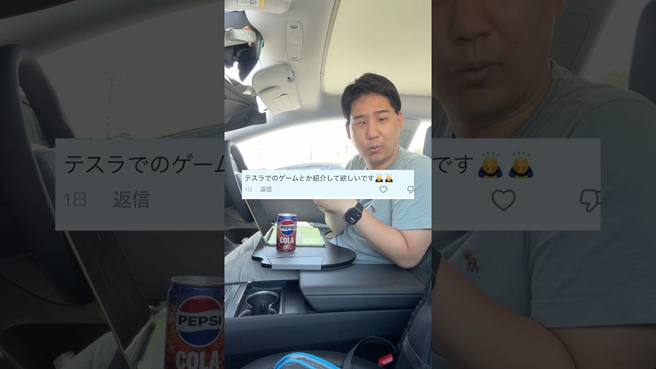 テスラに搭載されているゲームで遊ぼう!