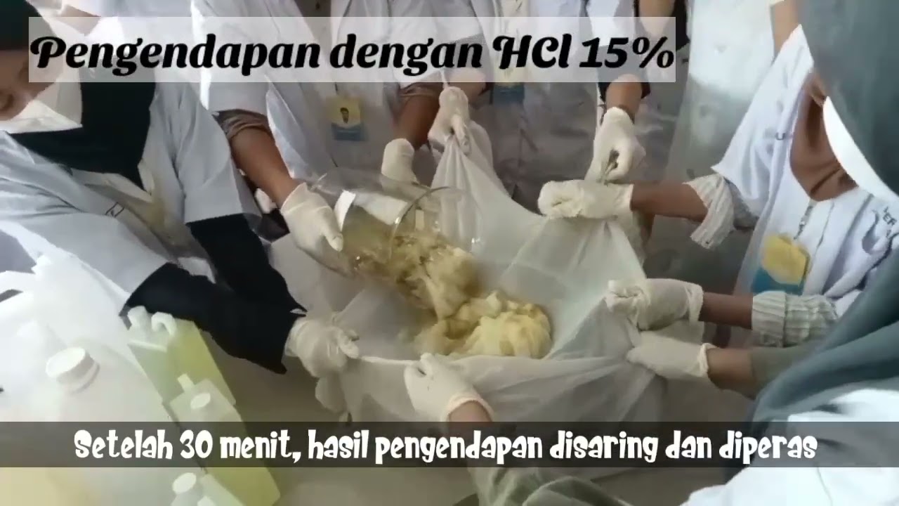 Pembuatan Alginat Berbahan Dasar Sargassum sp.