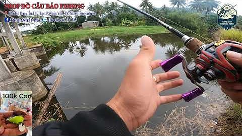 Mồi Giả Câu Cá Lóc Nhái Hơi F35 - 100k 1 Con