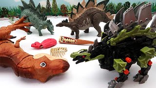 TRex VS Stegosaurus! Dinosaur Battle With ZOIDWILD Stegosaurus