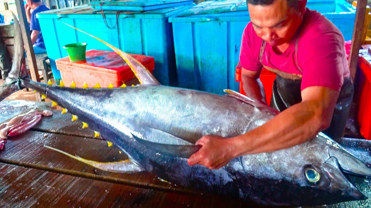 45 KG TUNA FISH FILLET EXPERT FOR SHIPPED OVERSEAS 2023 SLICE TYPE