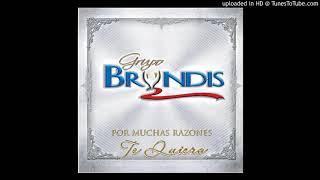 Video thumbnail of "Grupo Bryndis - Te Quiero Aunque Ya No Eres Mía"