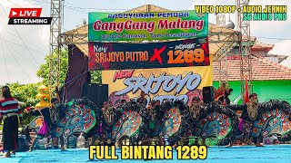 Live New Srijoyo Putro FULL Bintang 1289 Ganggang Malang Sukomoro Nganjuk Ft SG Audio (2)