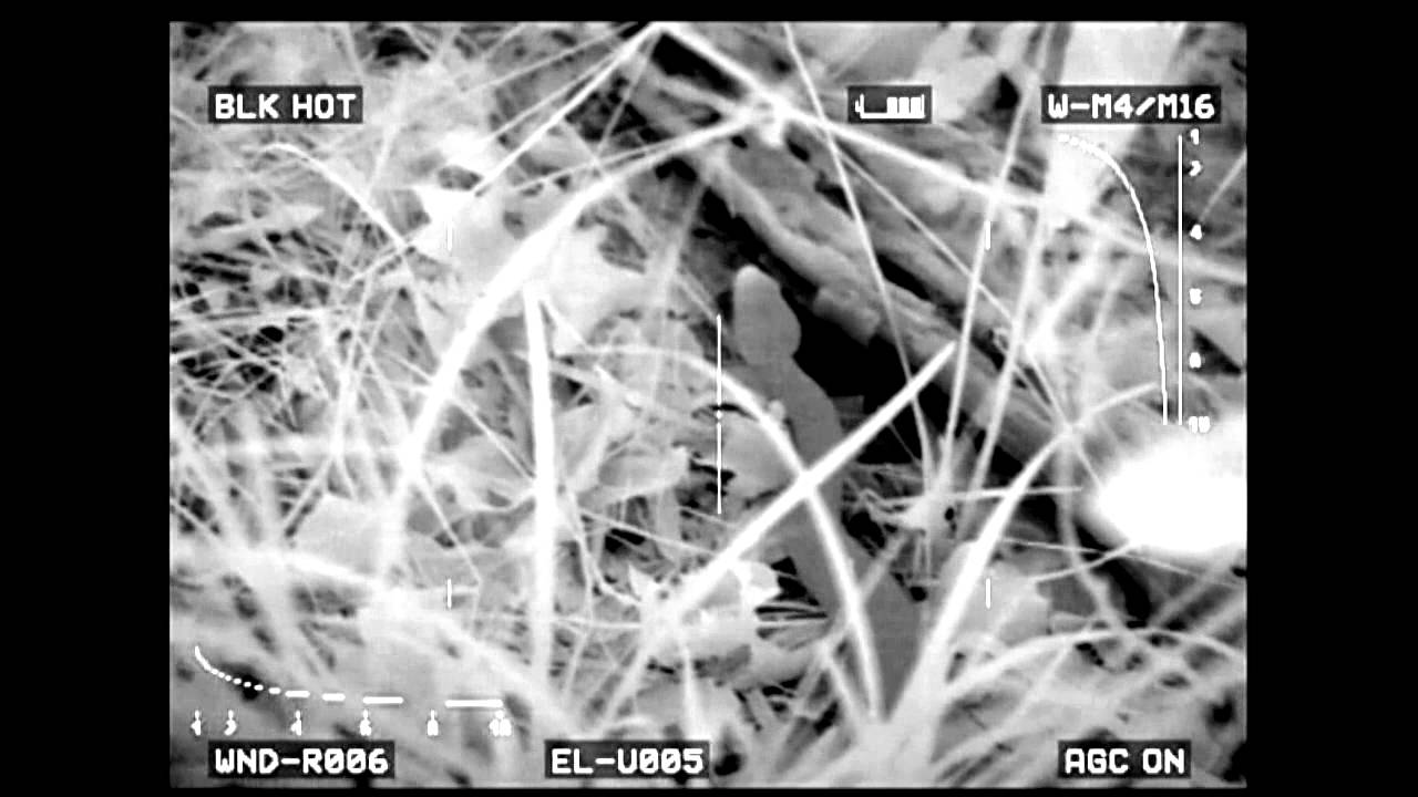 What a Snake Looks like at Night through Thermal and Gen 3 Night Vision