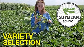 Four steps to tailoring seed choice for more beans in the bin | Soybean School