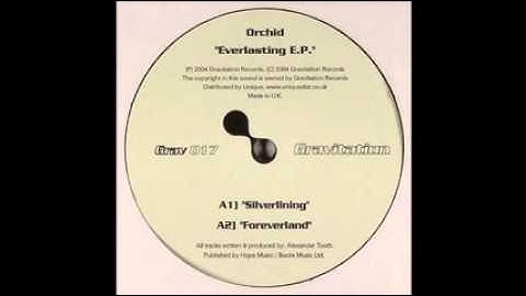 Orchid - Silverlining (Everlasting Edit)