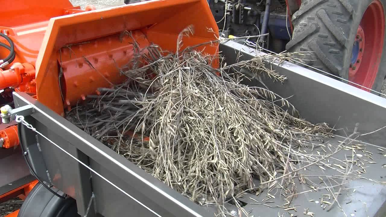 CIPPATRICE CIPPATORE A TAMBURO CT 3060 TTS CHIPPER ENERGY (palm