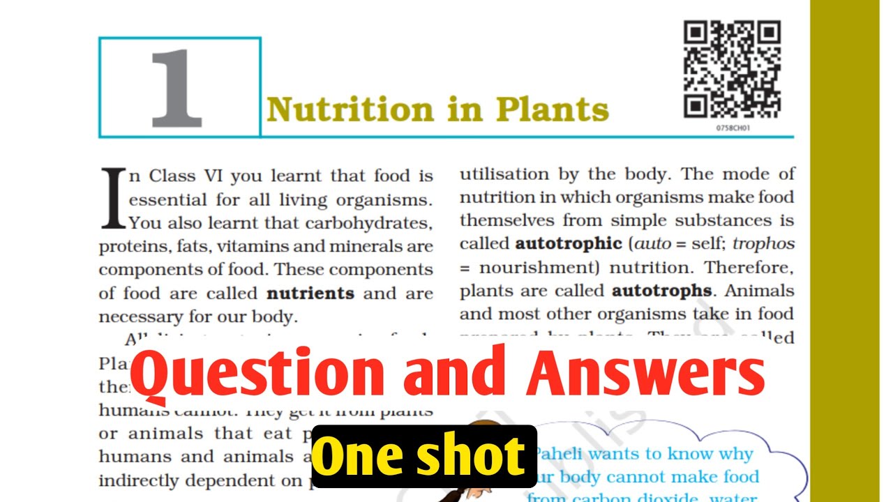 Class 7th science l Chapter 1 l Nutrition in plants l Question and ...