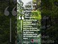 #Waldflüstern 15 – Impulse für Herz, Bewusstsein und Seele
