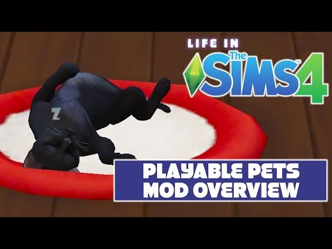The sims 4 playable pets mod - graget