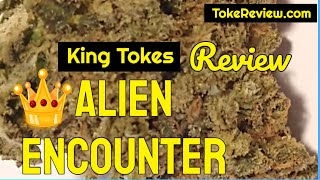 King Toke's Review of the Alien Encounter marijuana strain