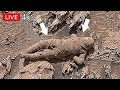 NASA Perseverance Rover Latest Images SOL 1832 | Mars Panoramic video | Mars hd photos 