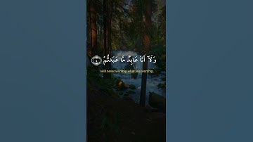 #سورة الكافرون