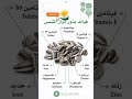تعرف علي فوائد بذور دوار الشمس نصائح Fruit معلومات 