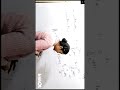 ensemble theory #shorts #physics #statisticalmechanics #rpsc1stgrade #assistantprofessor #gate #jam